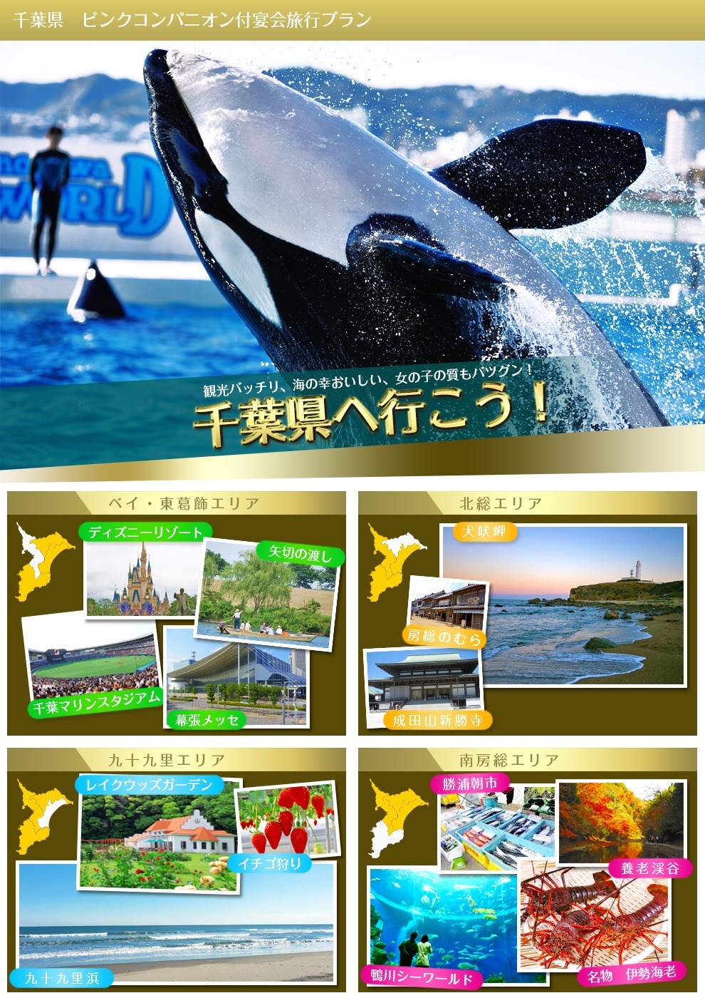 千葉県の周辺観光情報の画像